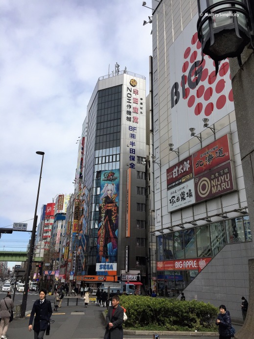 Street of Akibara