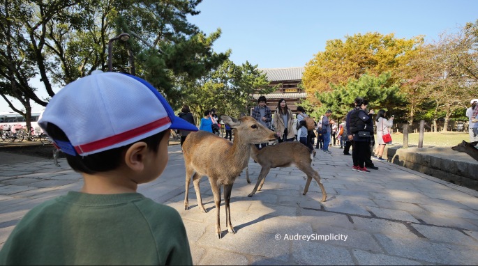 Nara Bambi Land by AudreySimplicity