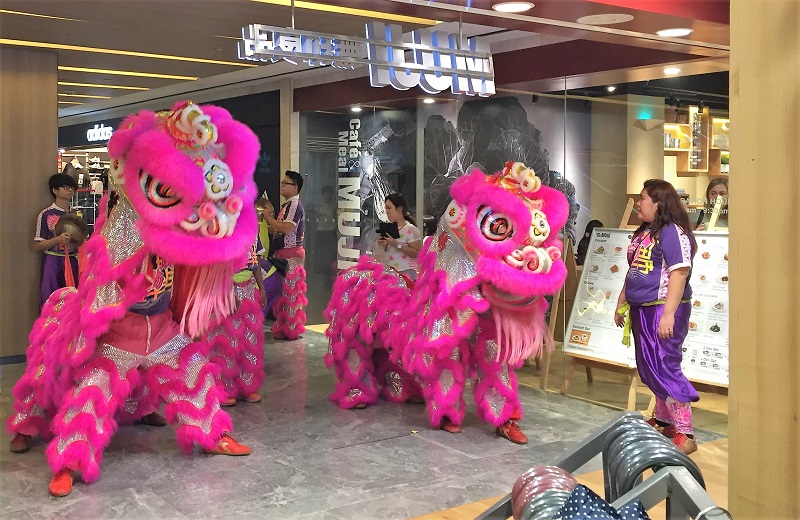 Lunar New Year Celebration Lion Dance